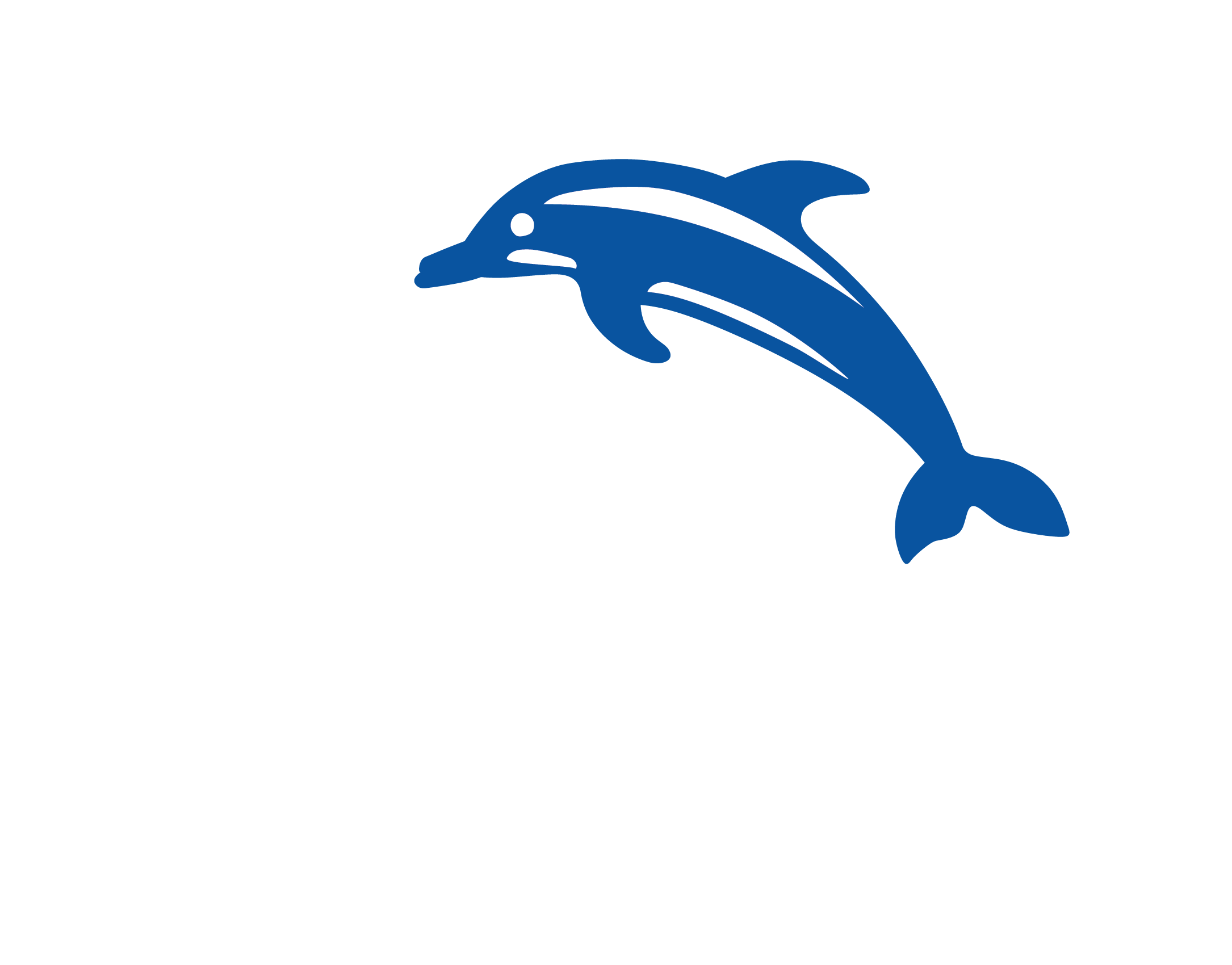 SYDSLAM_Logo_Neg_CMYK